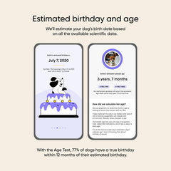 Embark Age Test Kit activation step shows easy start to results.