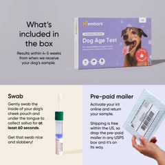 Embark Age Test Kit lab processing highlights reliable lab turnaround times.