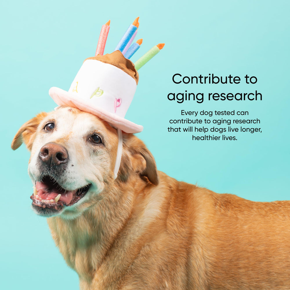 Embark Age Test Kit Life Stage Tips offering diet and exercise guidance by age.