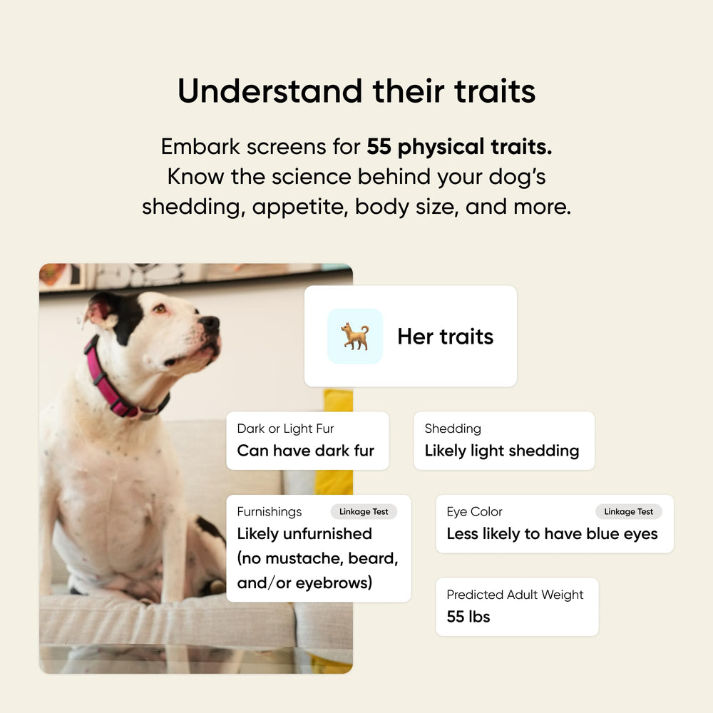 Embark Breed & Health Kit breed identification shows accurate breed breakdown for better dog care.