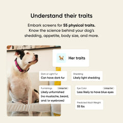 Embark Breed & Health Kit breed identification shows accurate breed breakdown for better dog care.