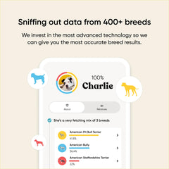 Embark Breed & Health Kit DNA swab demonstrates easy at-home collection for reliable results.