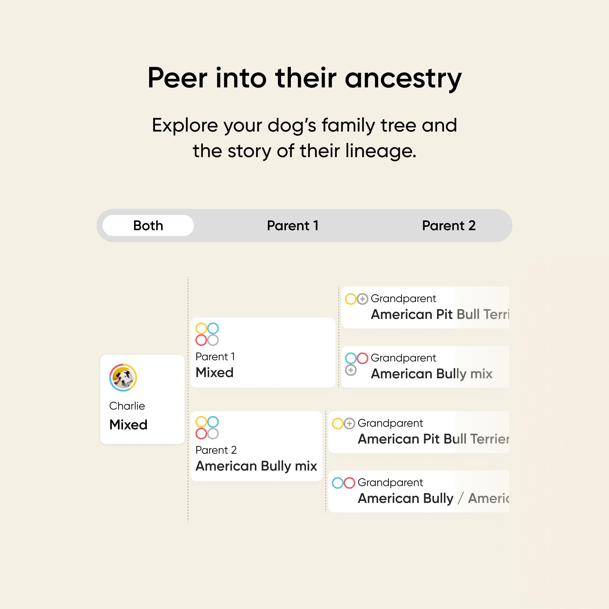 Embark Breed & Health Kit health insights page shares potential conditions and proactive care tips.