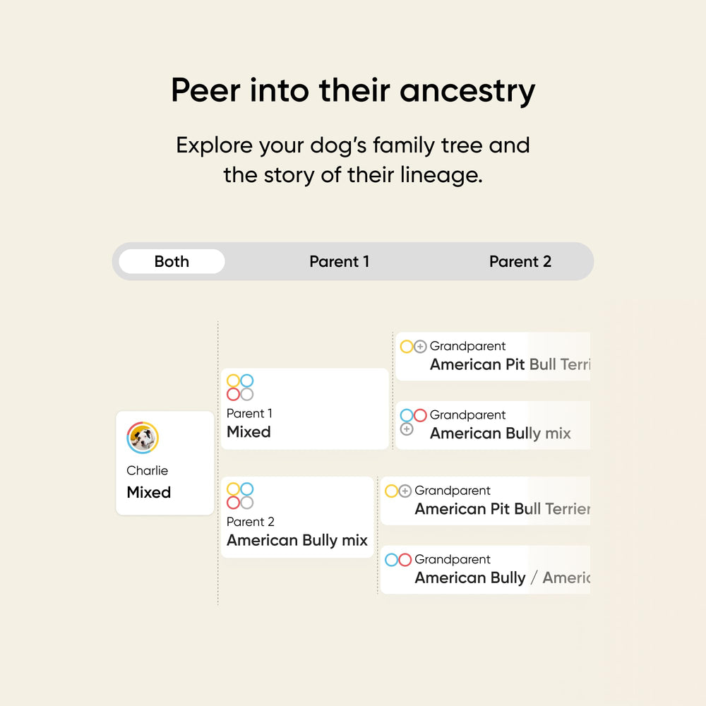 Embark Breed & Health Kit health insights page shares potential conditions and proactive care tips.
