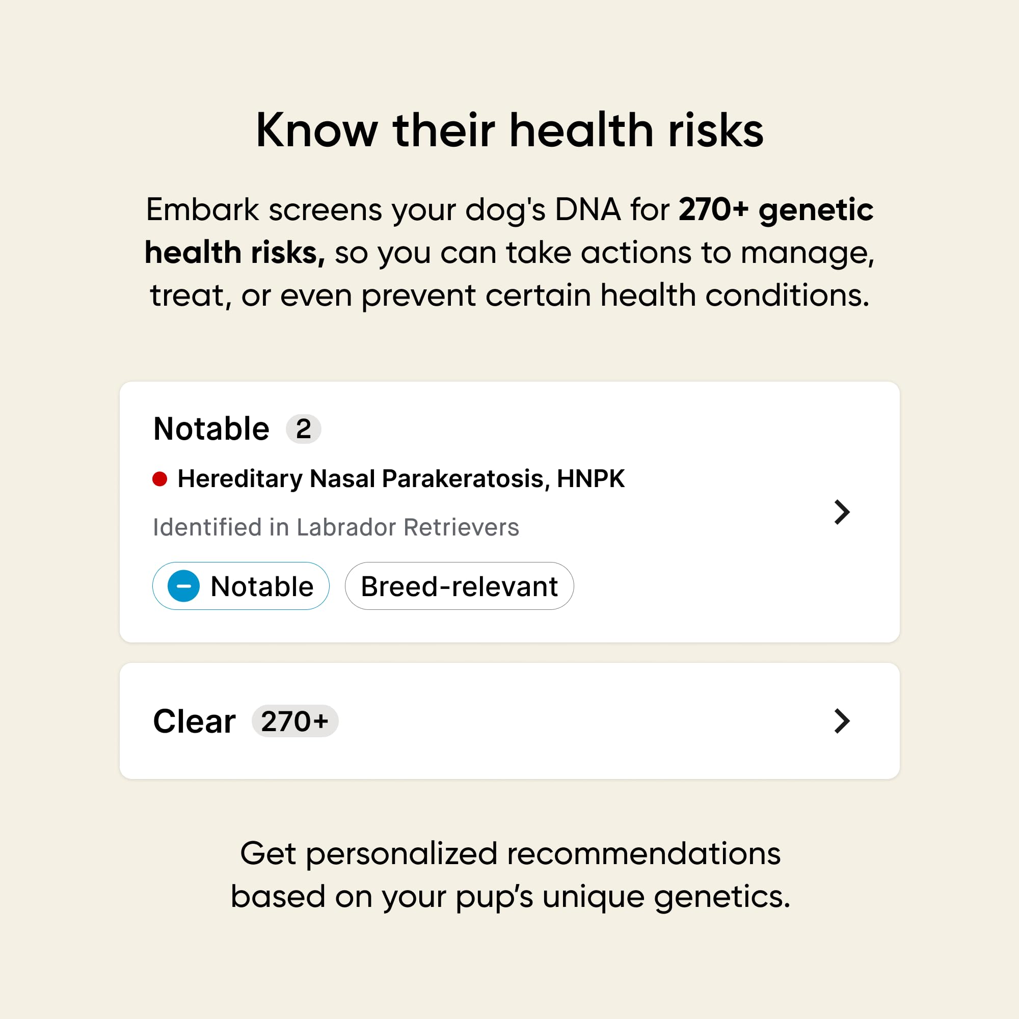 Embark Breed & Health Kit results dashboard highlights breed, health, and trait insights for informed care.