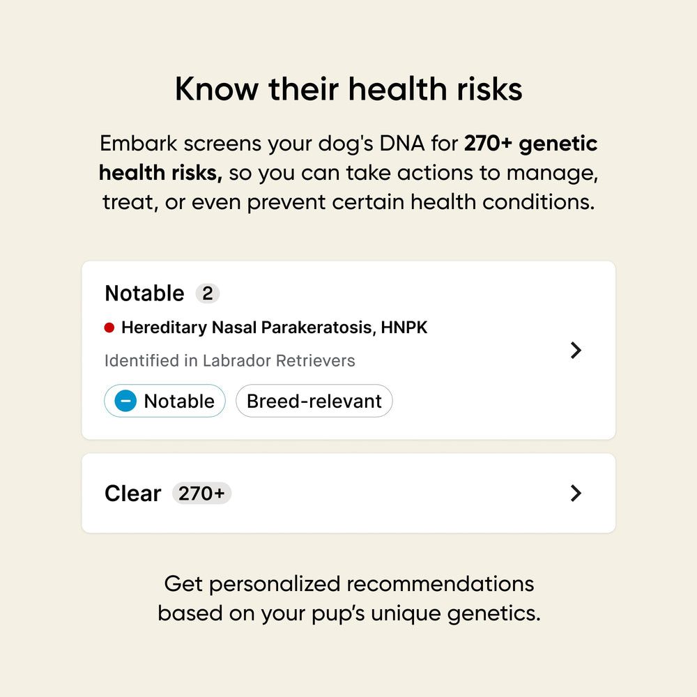 Embark Breed & Health Kit results dashboard highlights breed, health, and trait insights for informed care.