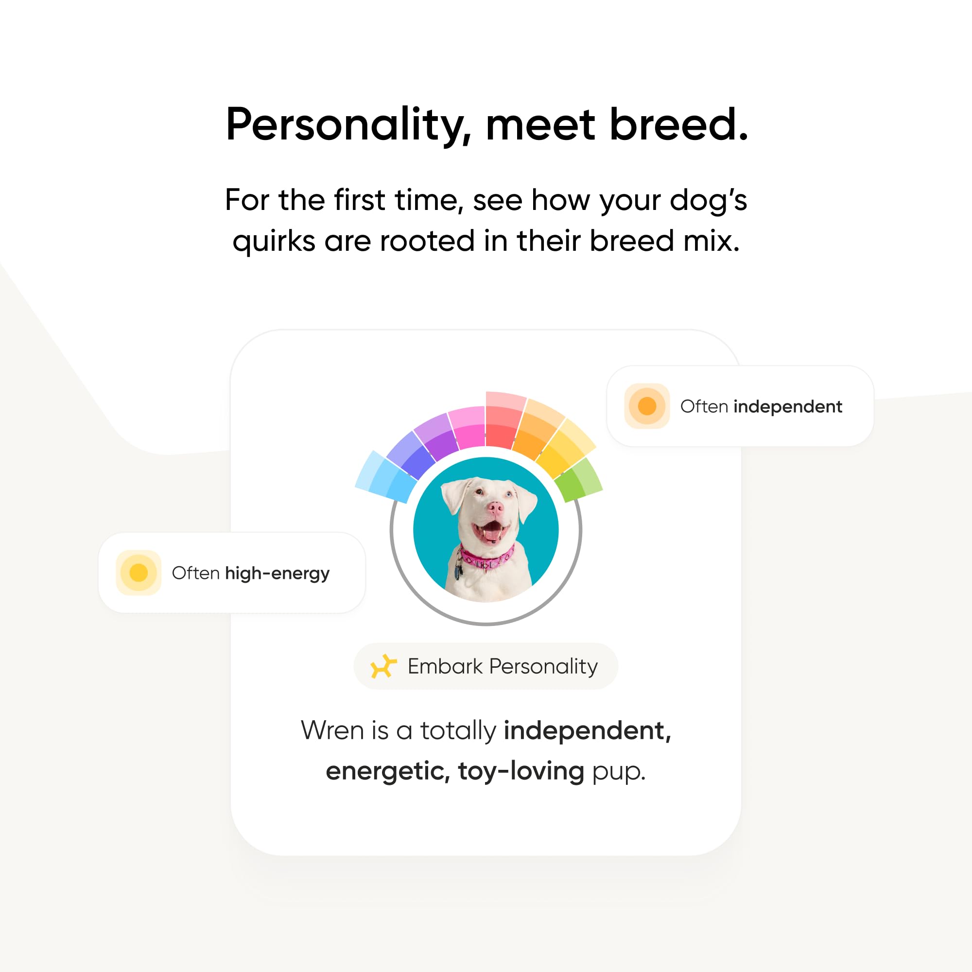 Embark Breed & Health Kit vet support contact offers expert guidance on results.
