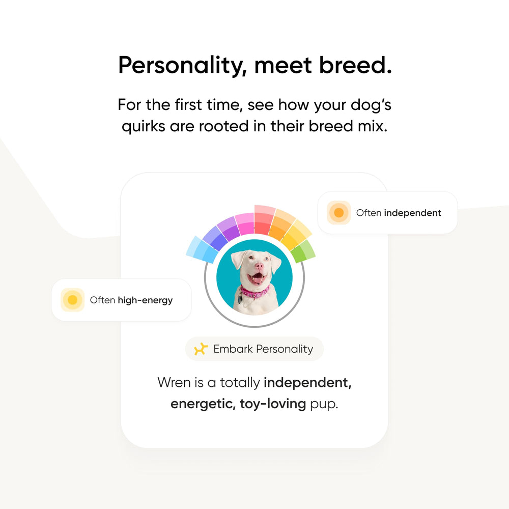 Embark-fast-results-vets-chat offers reliable support from experts