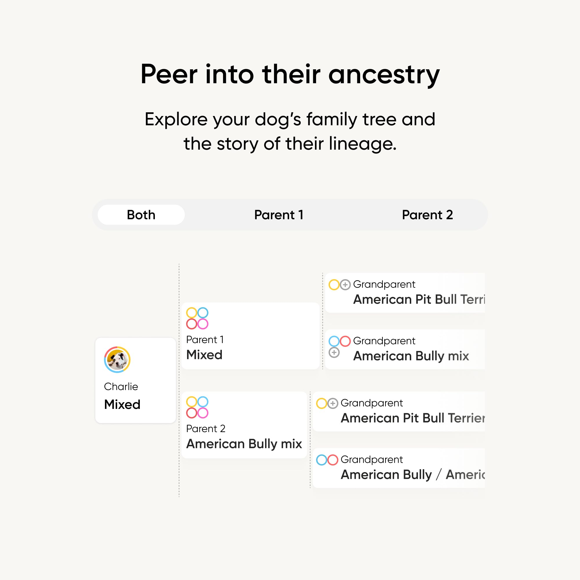 Embark-personality-quiz helps identify instincts tied to breed mix