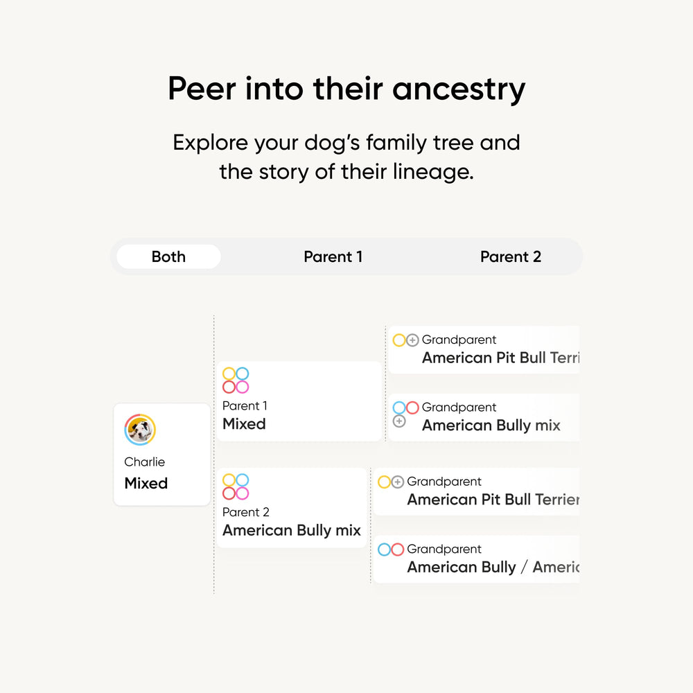 Embark-personality-quiz helps identify instincts tied to breed mix