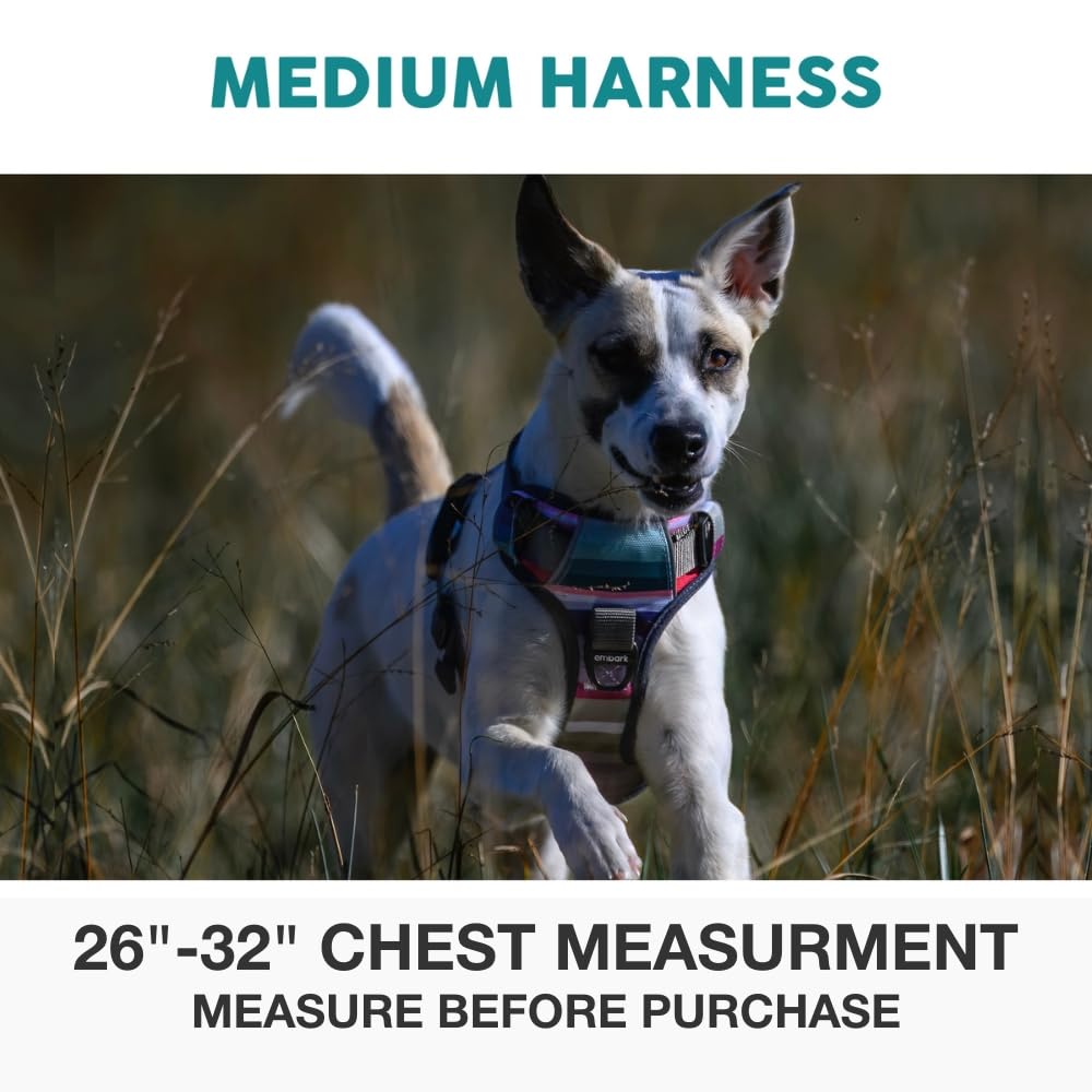 Embark Pets Adventure Harness back clip for secure leash attachment