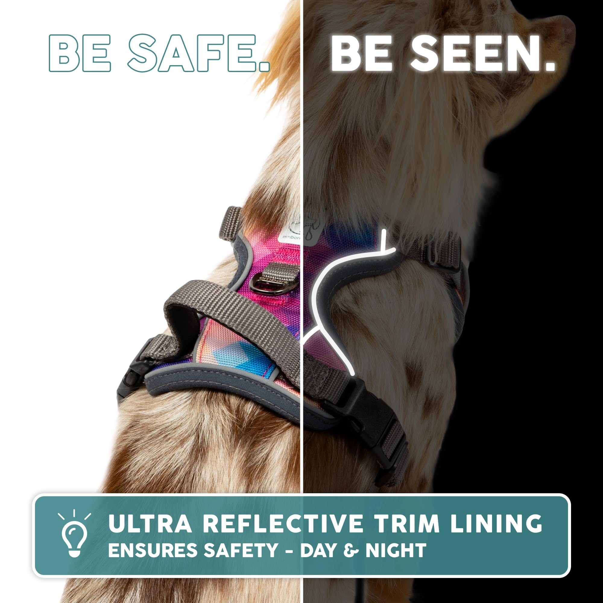 Embark Pets Adventure Harness front D-ring used for no-pull training
