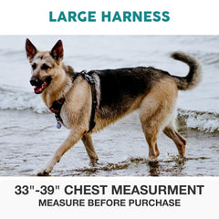 Embark Pets Adventure Harness gel handle closeup highlighting comfortable grip