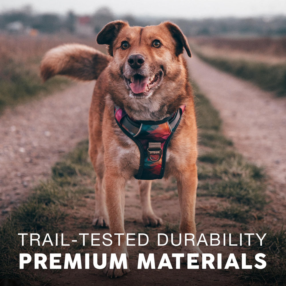 Embark Pets Adventure Harness military-grade nylon construction for durability