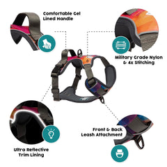 Embark Pets Adventure Harness 360° reflective trim for night visibility during walks