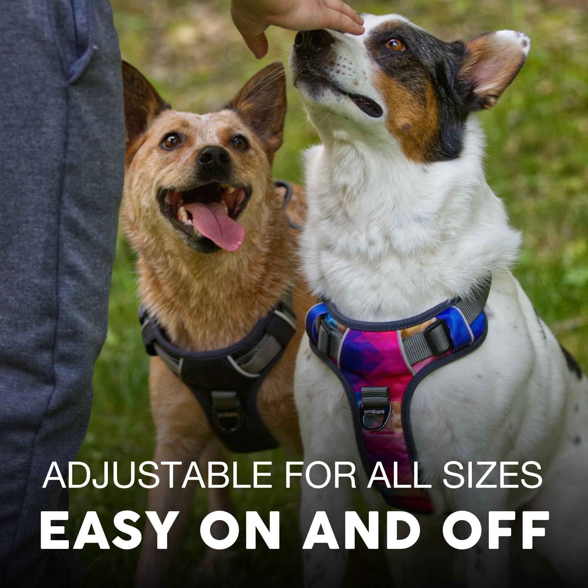Embark Pets Adventure Harness soft padded straps reducing rubbing on big dogs