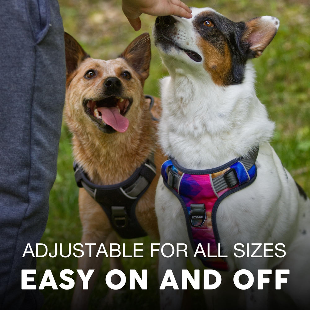 Embark Pets Adventure Harness soft padded straps reducing rubbing on big dogs