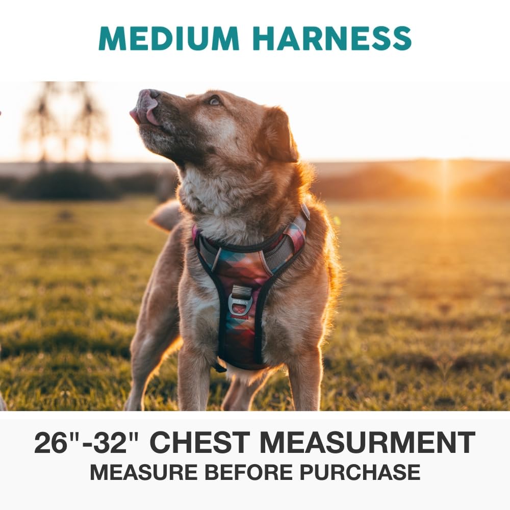 Embark Pets Adventure harness soft padding reduces rubbing during long walks.