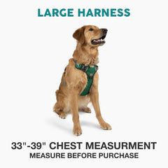 Embark Pets Adventure large dog harness back clip for secure daily use.