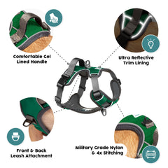 Embark Pets gel-lined handle provides extra comfort when lifting and guiding large dogs.