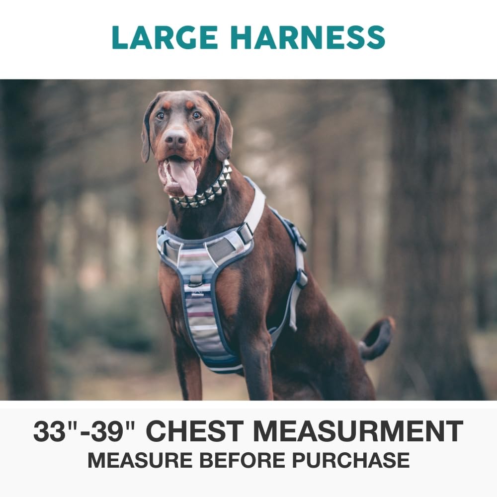 Embark Pets Adventure gel-lined handle provides secure grip during lifting and control