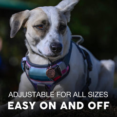 Embark Pets Adventure military-grade nylon delivers rugged durability for daily wear