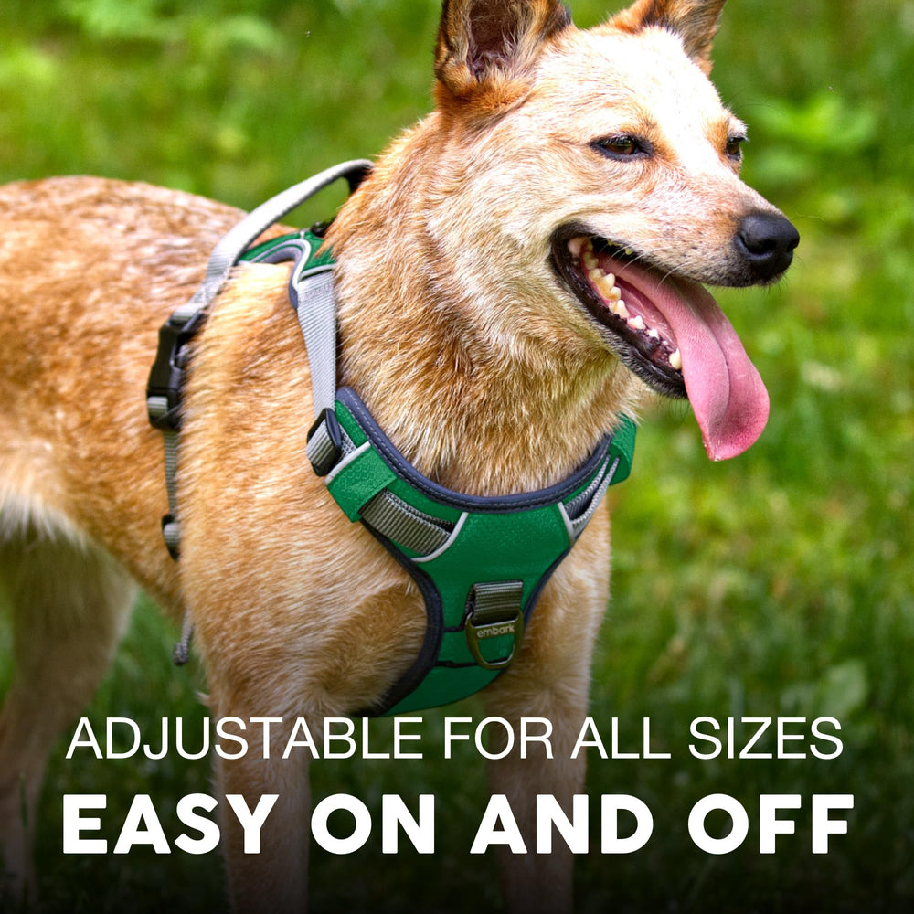 Embark Pets reflective trim increases visibility during night or dawn walks.
