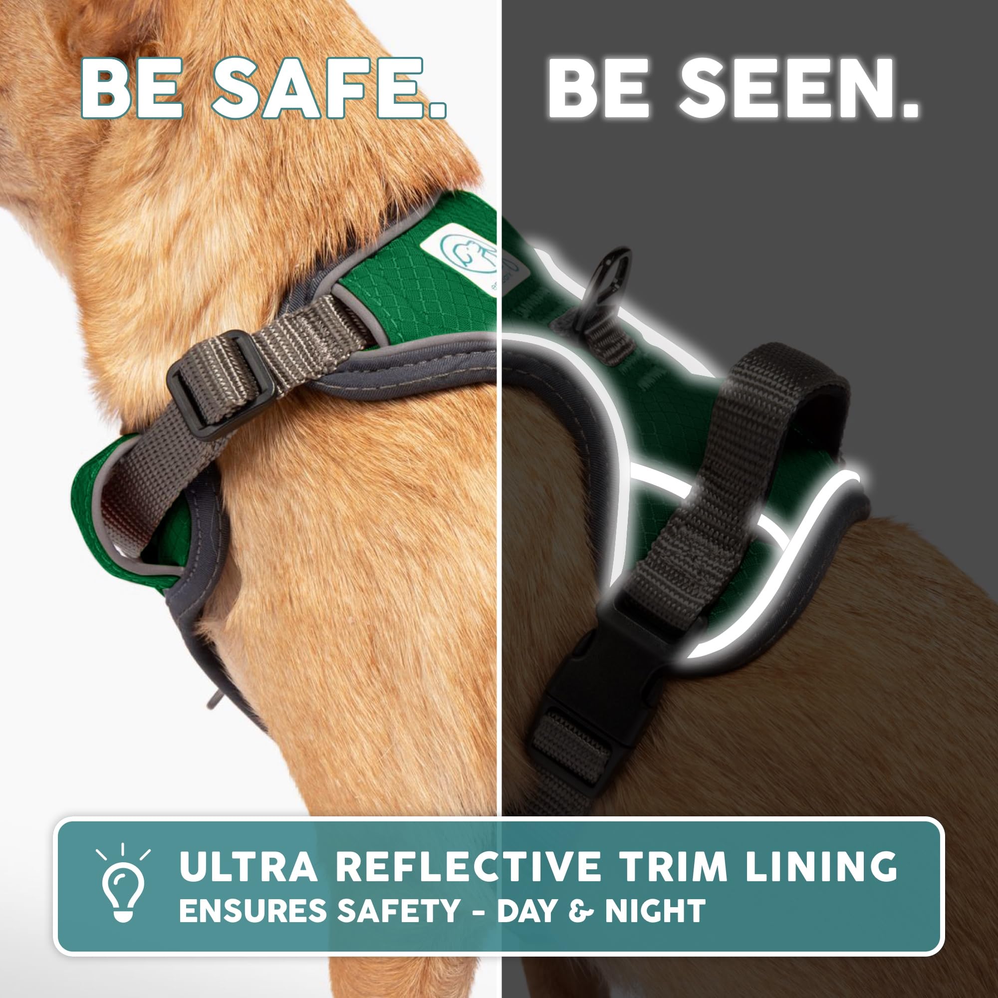 Embark Pets adjustable fit with extra-long straps for a secure size range.