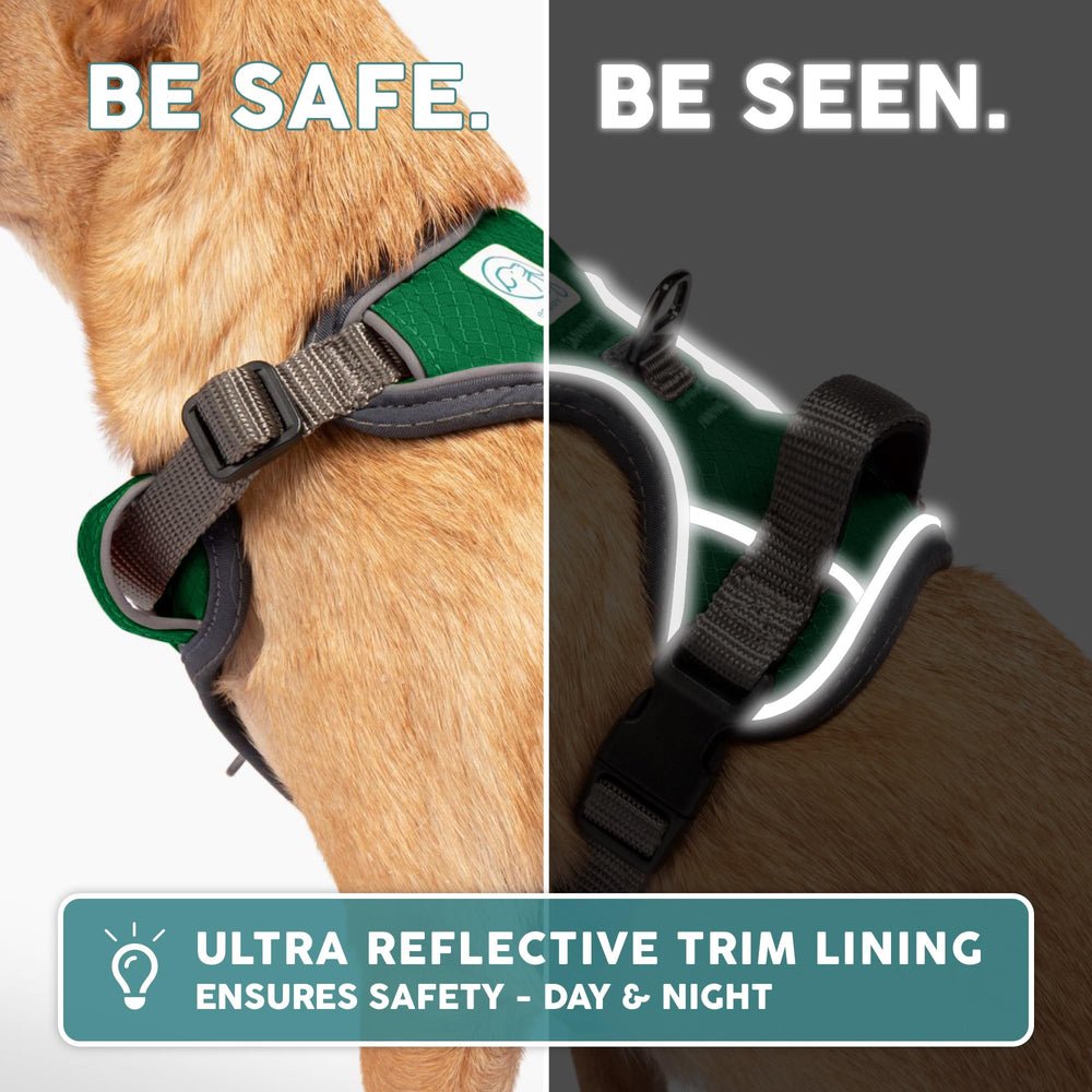 Embark Pets adjustable fit with extra-long straps for a secure size range.