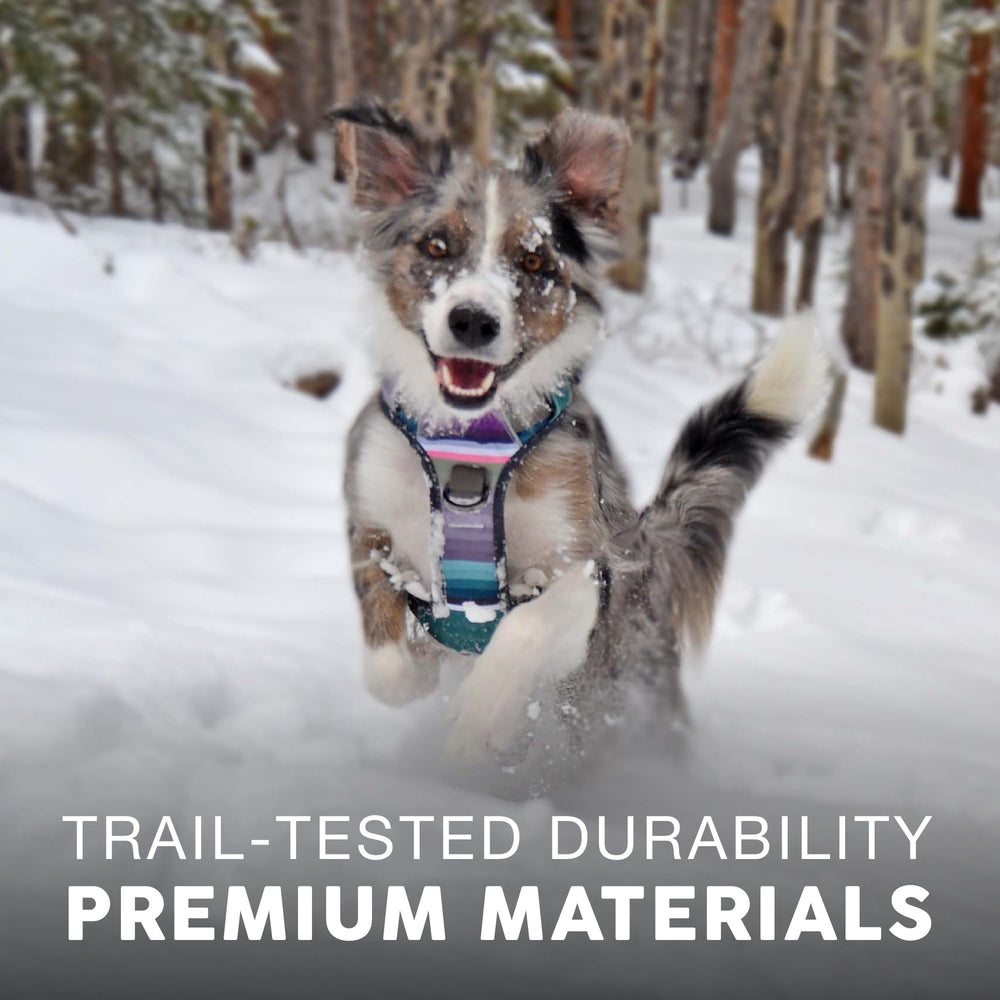 Embark Pets Adventure soft padding reduces rubbing for longer, comfortable fits