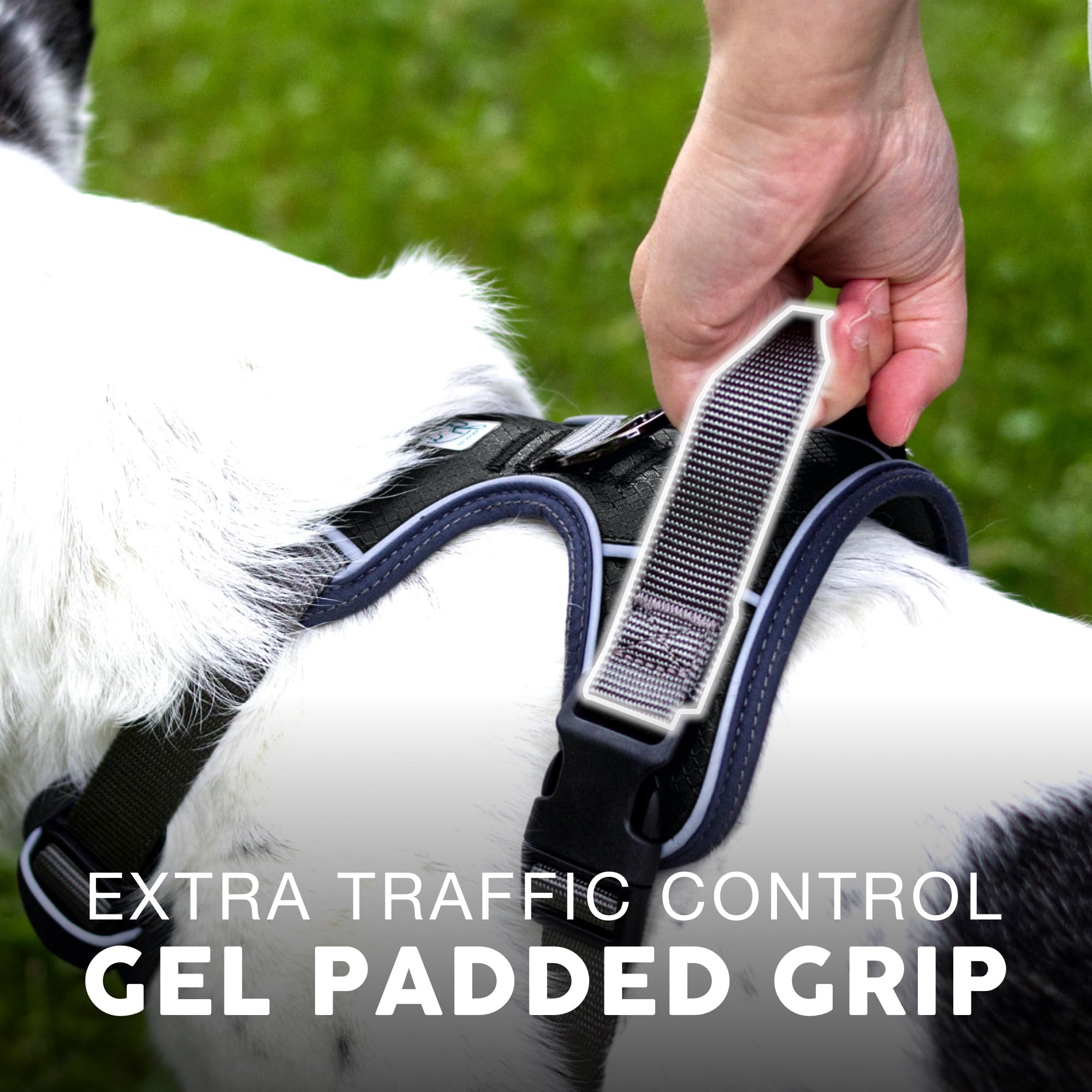 Embark Adventure padding providing comfort around chest and shoulders