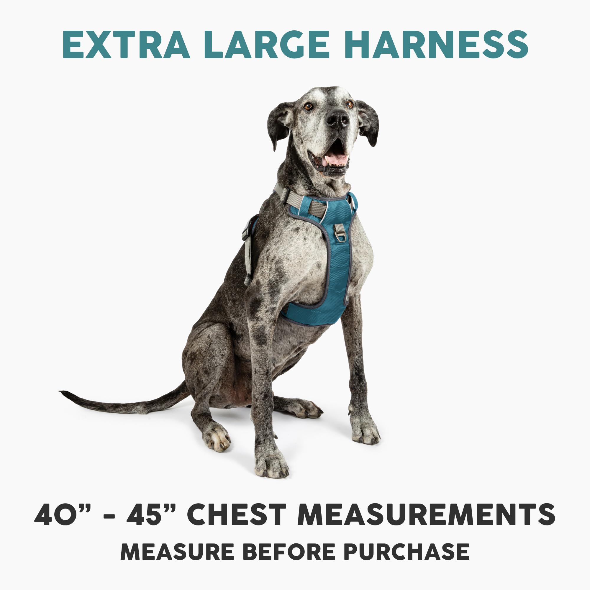 Embark Pets Adventure XL harness back clip provides secure everyday walking