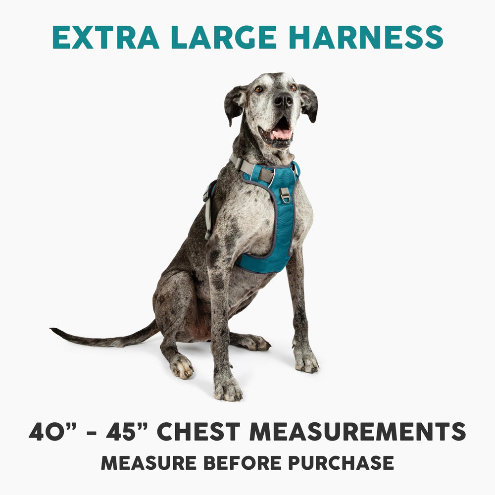 Embark Pets Adventure XL harness back clip provides secure everyday walking