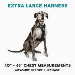 Embark Pets Adventure XL Harness back clip for secure leash attachment on long walks