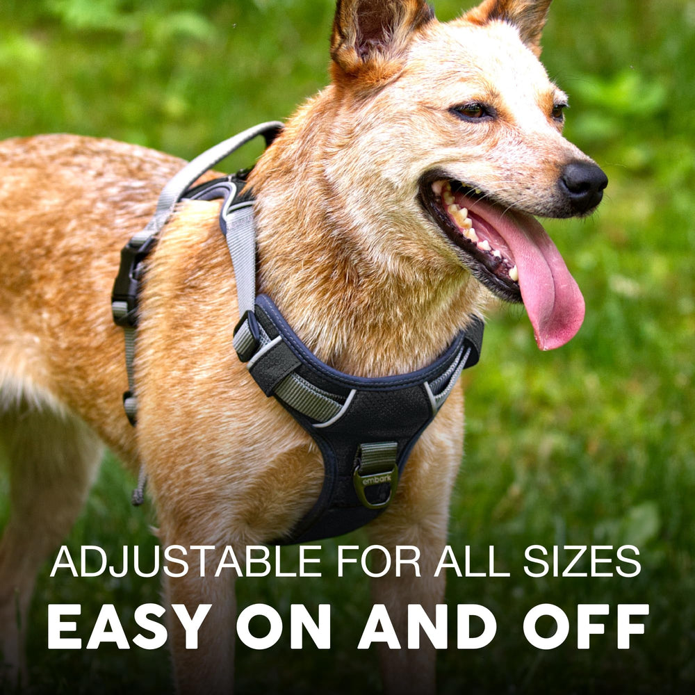 Embark Pets Adventure XL Harness gel-lined handle for a comfortable grip