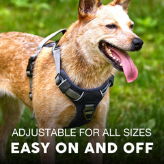 Embark Pets Adventure XL Harness gel-lined handle for a comfortable grip