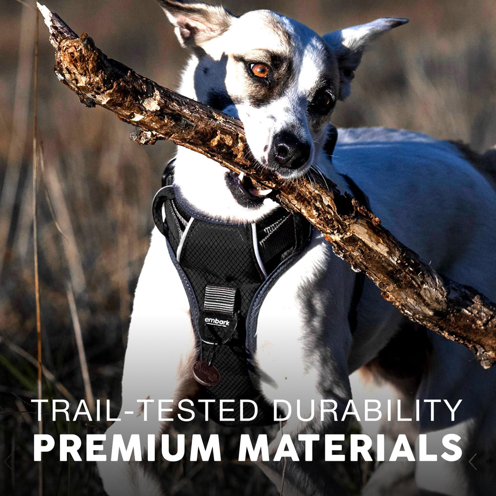 Embark Pets Adventure XL Harness 360° reflective strips for better visibility
