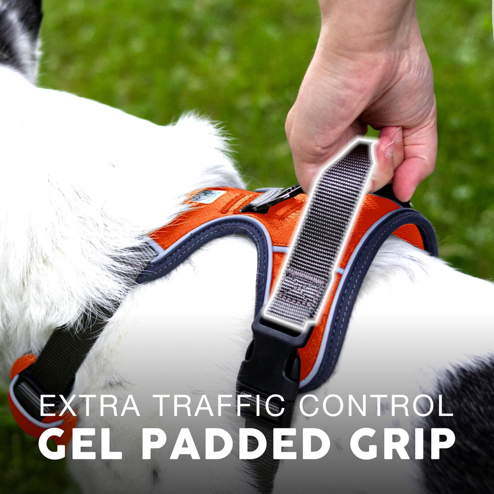 360-degree reflective trim boosts visibility during dawn, dusk, and night.
