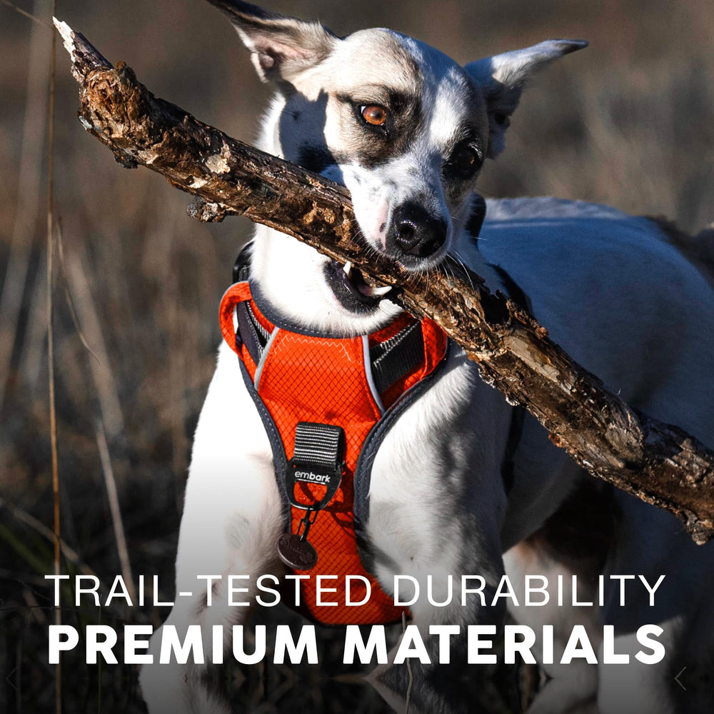 Breathable padding reduces rubbing for comfortable all-day wear.