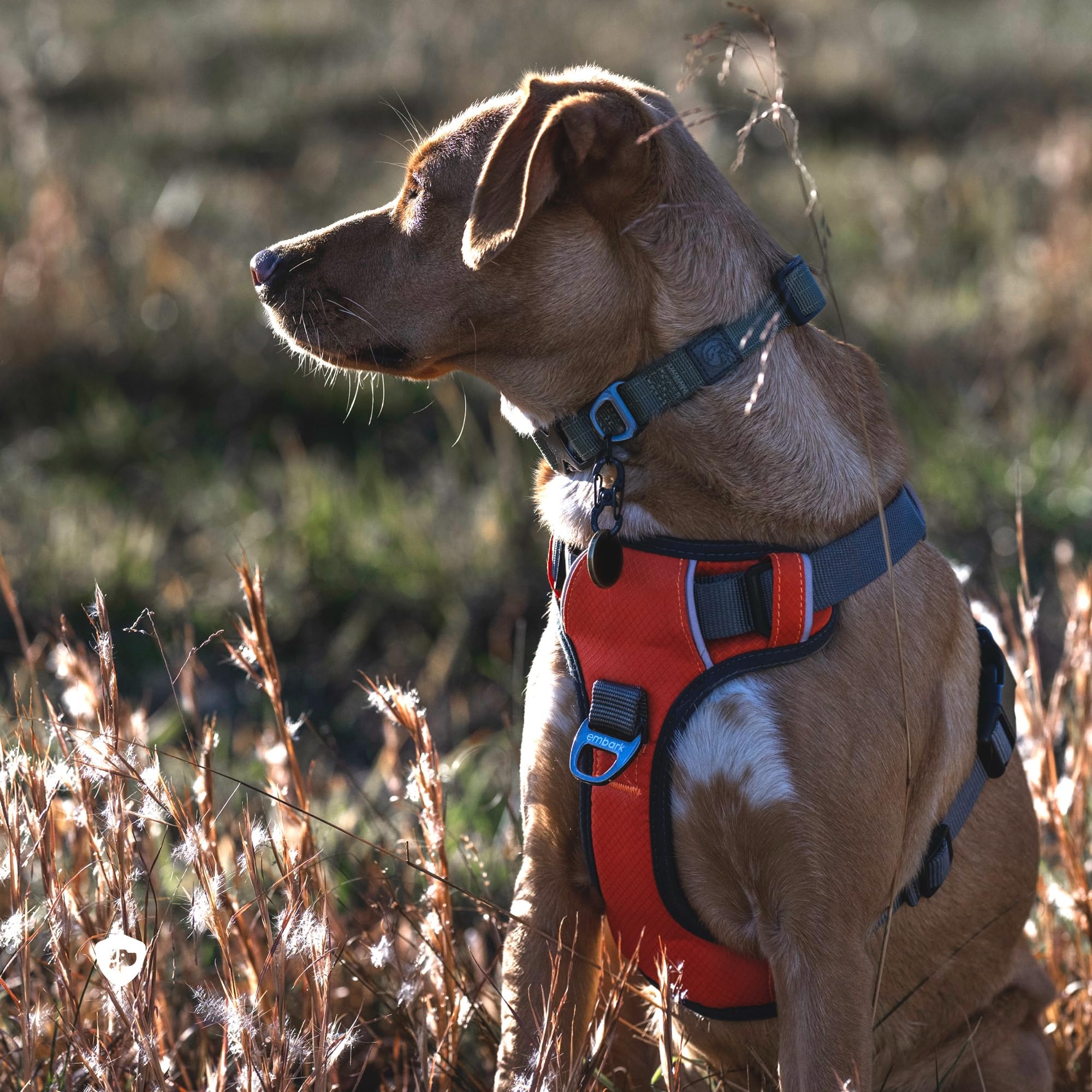 Gel-lined handle on Embark Adventure harness offers comfortable, confident control.