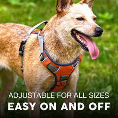 Durable military-grade nylon construction supports reliable, long-lasting use.