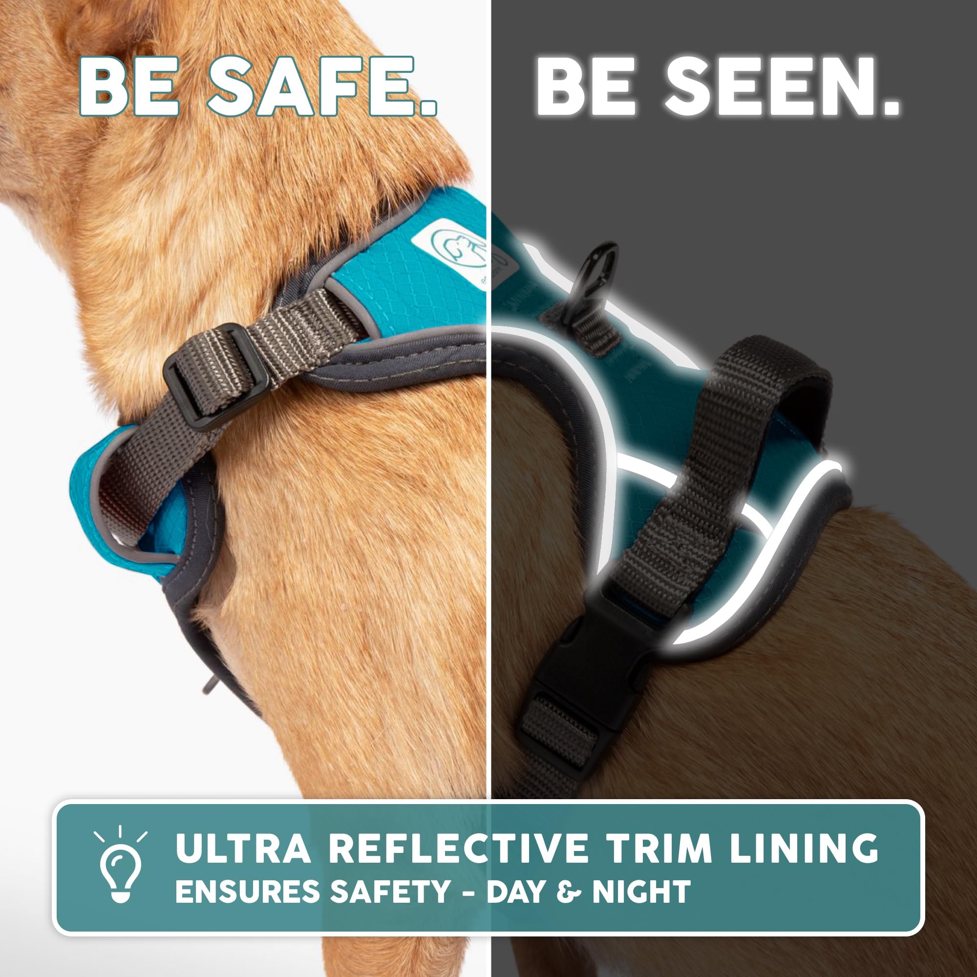 Embark Pets No-Pull harness adjustable fit ensures comfort for large dogs.