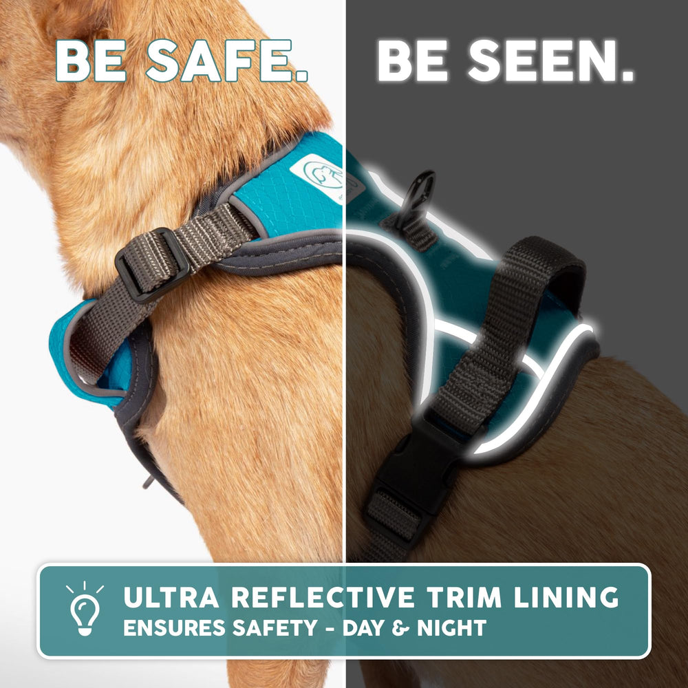 Embark Pets No-Pull harness adjustable fit ensures comfort for large dogs.