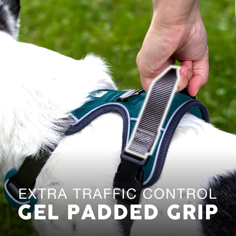 Embark Pets No-Pull harness back clip supports training and reduced pulling.