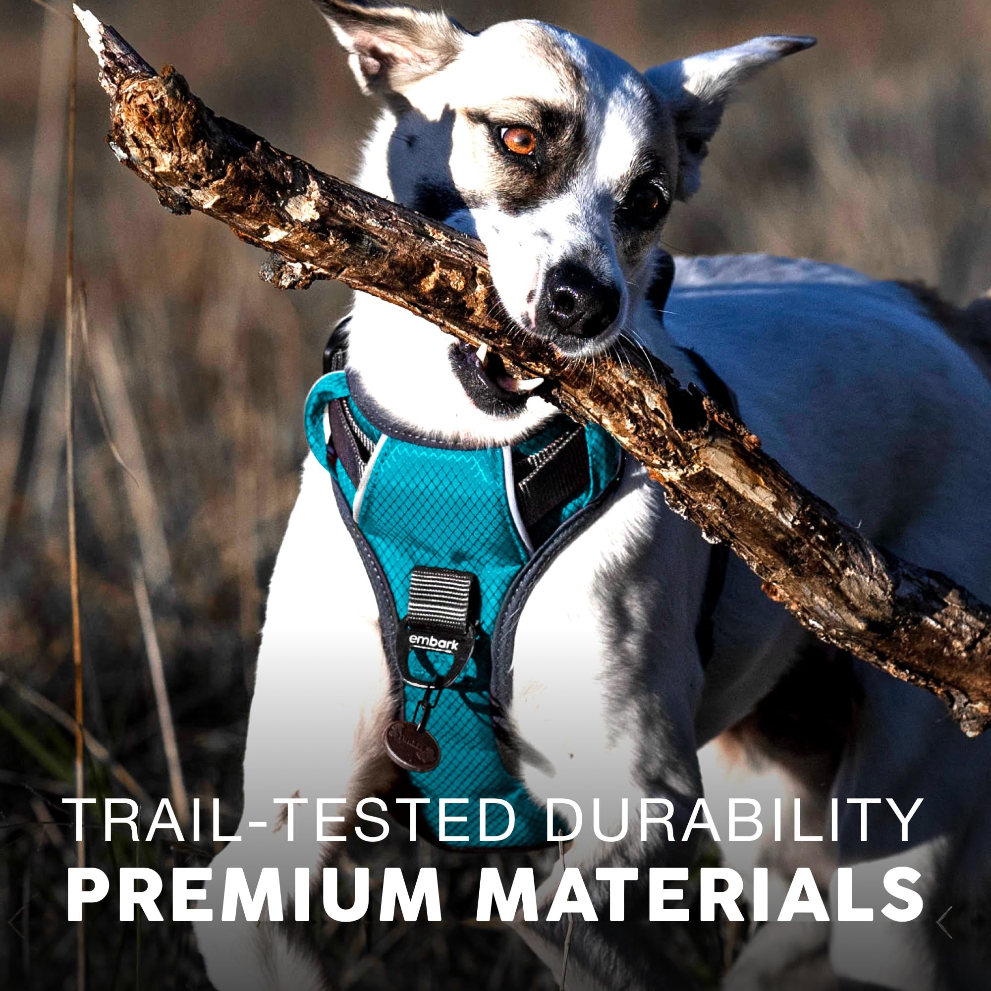 Embark Pets No-Pull harness features reinforced stitching for longevity.