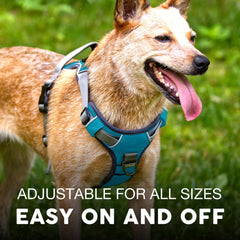 Embark Pets No-Pull harness uses military-grade nylon for durable outdoor use.
