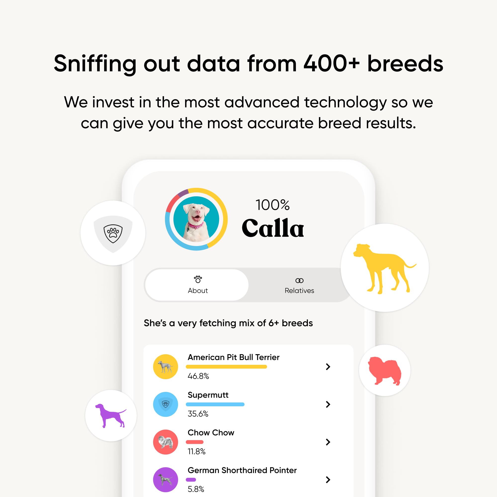 Embark-relative-finder-dog connects your pup with relatives worldwide for family connections