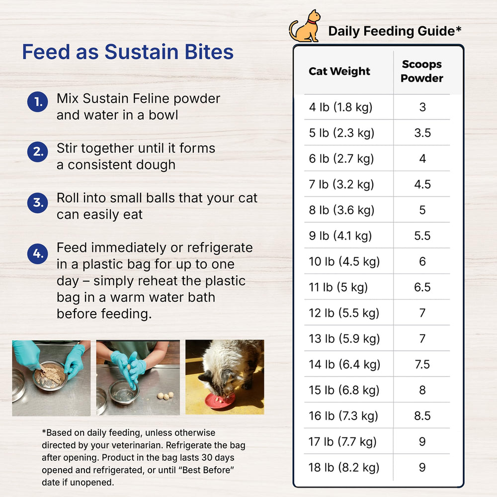 EMERAID Sustain Feline Recovery packaging display fosters quick recognition.