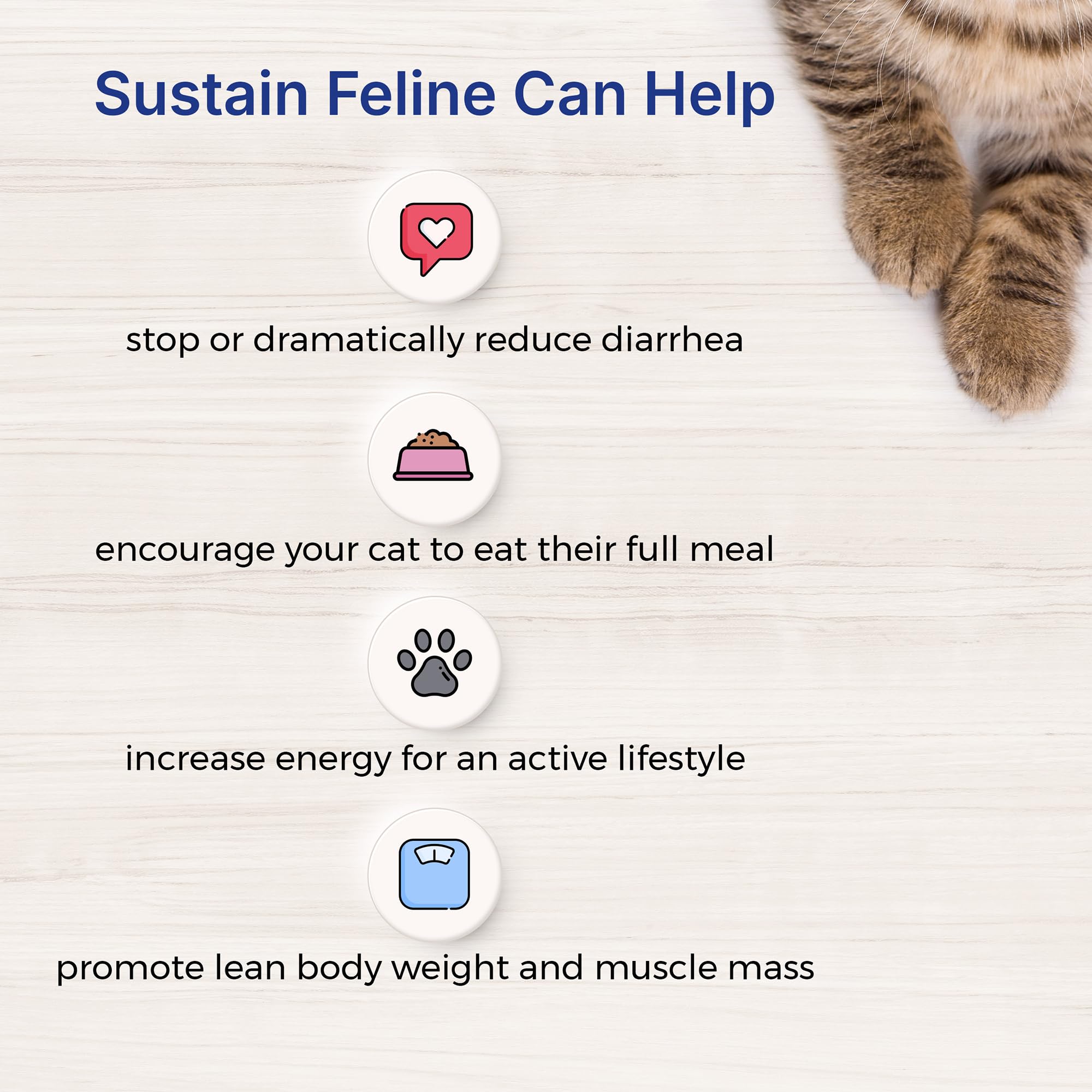 EMERAID Sustain Feline Recovery serving ideas demonstrates versatile feeding options.