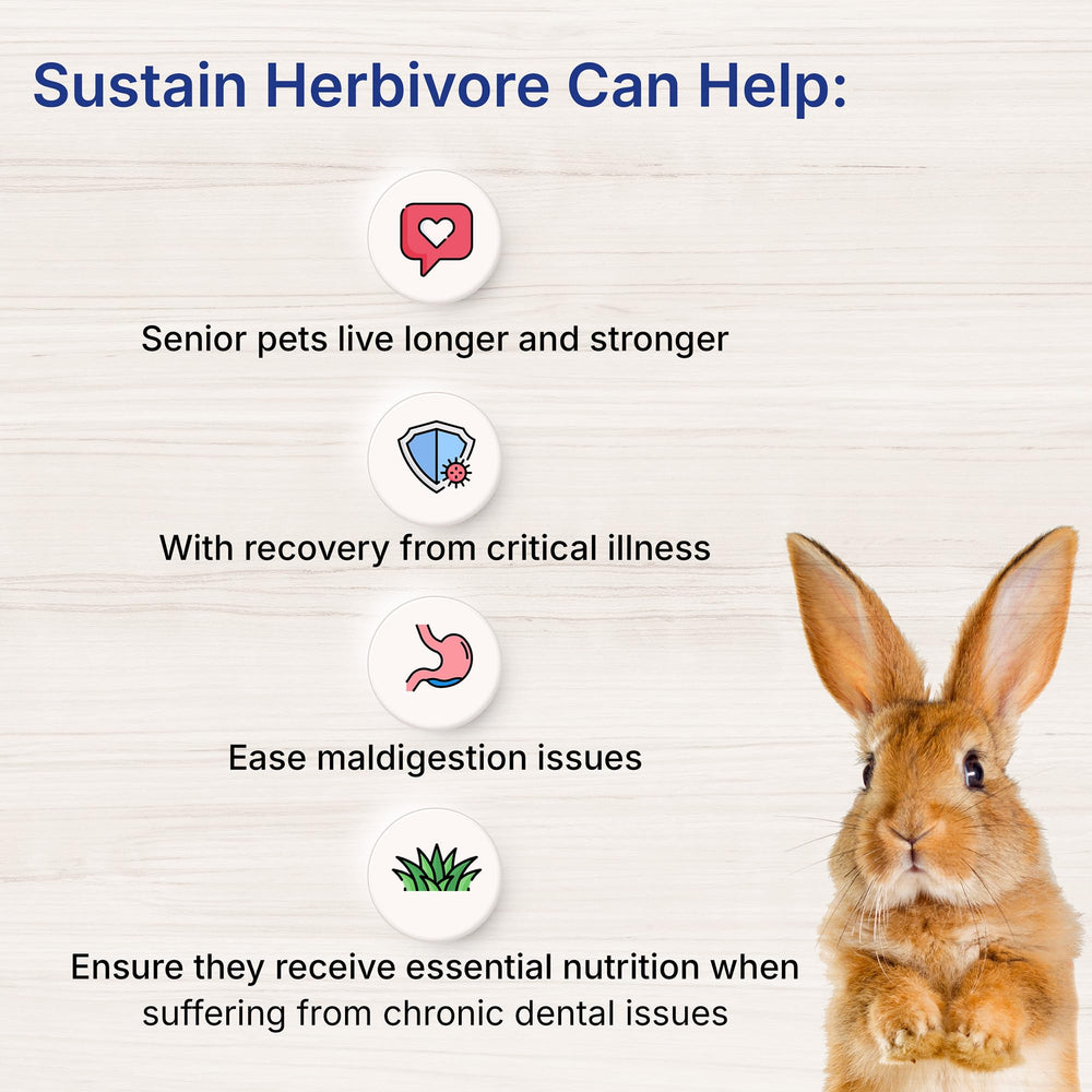 EMERAID Sustain Herbivore Mint ingredients graphic emphasizes immune-supporting nutrients.